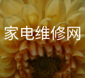 華紡股份有限公司招聘簡(jiǎn)章..